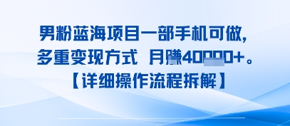 8月新男粉蓝海项目一部手机可做，多重变现方式 月入4W+【详细操作流程拆解】-DE云网创
