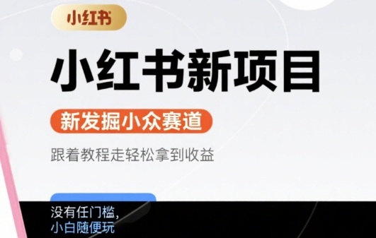 小红书新项目，新发掘出来的小众赛道 ，跟着教程走轻松拿到收益，没有任何门槛，小白随便玩-DE云网创