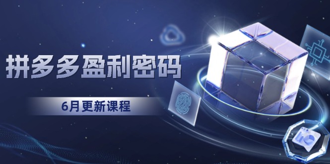 （15005期）拼多多盈利密码：从烧钱推广到印钞模型，底层逻辑重构指南（6月更新）-DE云网创