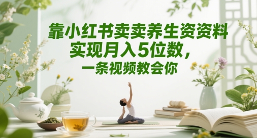靠小红书卖养生资料实现月入5位数，一条视频教会你-DE云网创