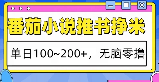 番茄小说推书挣米，单日100-200+，无脑零撸，实操流程-DE云网创