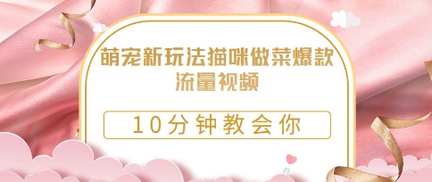 萌宠新玩法猫咪做菜爆款流量视频，10分钟教会你-DE云网创