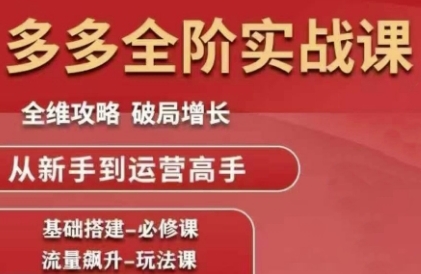 拼多多全阶实战课程，全维攻略，破局增长，从新手到运营高手-DE云网创