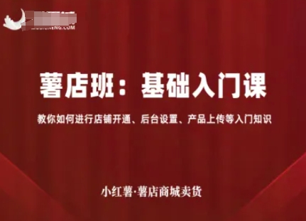 小红薯薯店商城卖货，基础入门课，教你如何进行店铺开通、后台设置、产品上传等入门知识-DE云网创