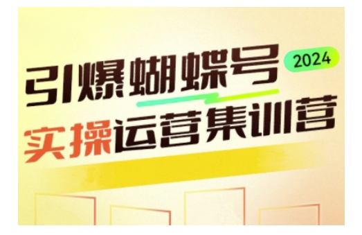 引爆蝴蝶号实操运营，助力你深度掌握蝴蝶号运营，实现高效实操，开启流量变现之路-DE云网创