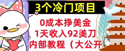 3个冷门项目，0成本挣美金，1天收入92刀，超简单， 内部教程(首次公开)-DE云网创