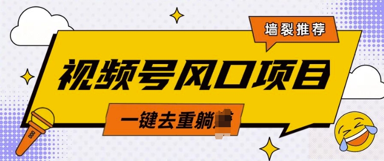 视频号风口蓝海项目，中老年人的流量密码，简单无脑，一键去重，轻松月入过W-DE云网创