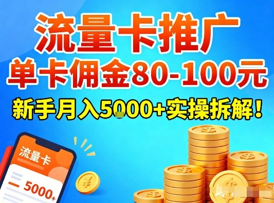 流量卡推广，单卡佣金80-100，新手月入5k+实操拆解！-DE云网创