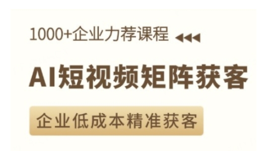 AI短视频矩阵获客实操课，企业低成本精准获客-DE云网创
