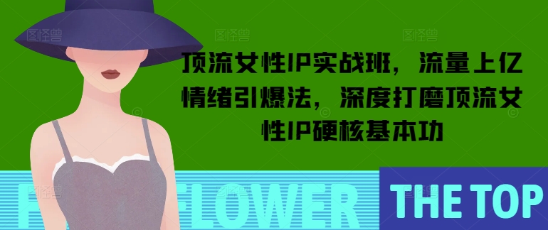 顶流女性IP实战班，流量上亿情绪引爆法，深度打磨顶流女性IP硬核基本功-DE云网创