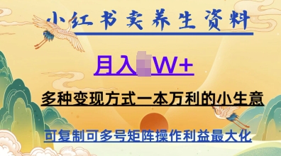 在小红书上卖养生资料，月入1w+，多种变现方式一本万利的小生意-DE云网创