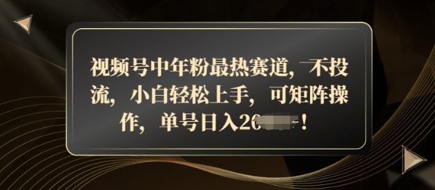 视频号中年粉最热赛道，不投流，小白轻松上手，可矩阵操作-DE云网创