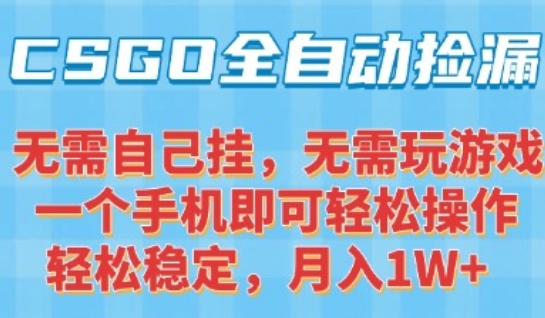 CSGO自动捡漏项目，最新独家玩法，一个手机可操作，新手小白轻松月入1W+，操作简单易上手【揭秘】-DE云网创