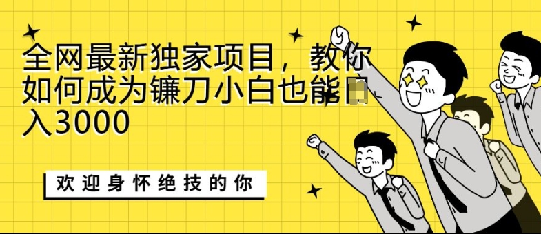 全网最新独家项目，教你如何成为镰刀小白也能日入上K-DE云网创