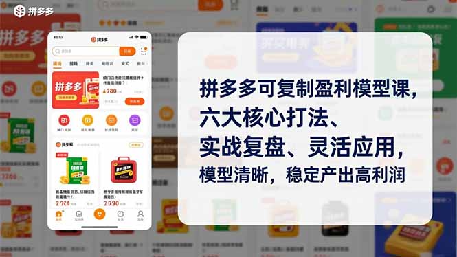 拼多多可复制盈利模型课,六大核心打法、实战复盘、灵活应用,模型清晰,稳定产出高利润插图 拼多多可复制盈利模型课,六大核心打法、实战复盘、灵活应用,模型清晰,稳定产出高利润插图