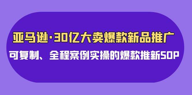 亚马逊30亿·大卖爆款新品推广，可复制、全程案例实操的爆款推新SOP-DE云网创