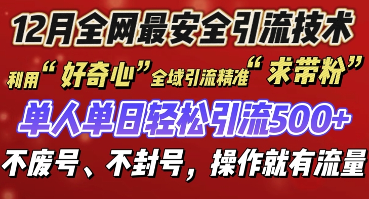 12 月份全网最安全引流创业粉技术来袭，不封号不废号，有操作就有流量【揭秘】-DE云网创