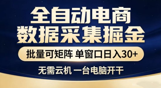 独家电商数据全自动采集项目，批量可矩阵，单窗口轻松日入3张+【揭秘】-DE云网创