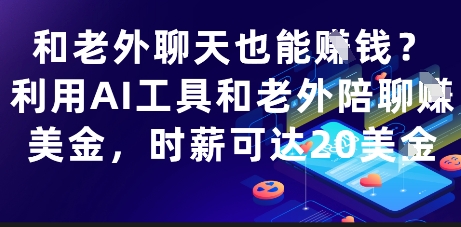 和老外聊天也能挣钱？利用AI工具和老外陪聊挣美金，时薪可达20刀-DE云网创