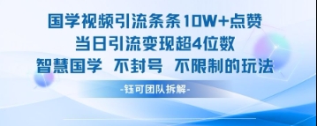 国学视频引流条条10W+点赞当日引流变现超4位数-DE云网创