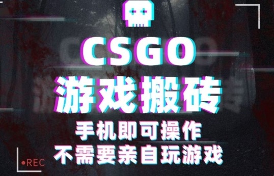 CSGO游戏挂G捡漏，单日扫货5张+，年底小高峰上车可吃肉，手机即可操作，兼职副业创业网创【揭秘】-DE云网创