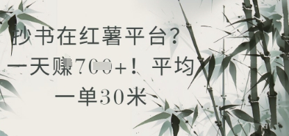 抄书在小红薯平台？平均一单30米，一天收益几张！-DE云网创