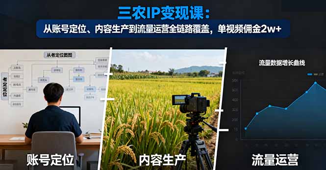 三农IP变现课：从账号定位、内容生产到流量运营全链路覆盖，单视频佣金2w+-DE云网创