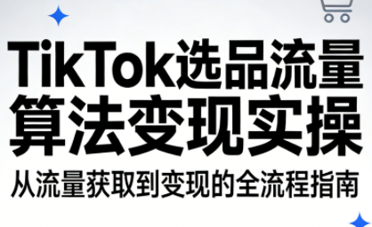 TikTok选品流量算法变现实操插图