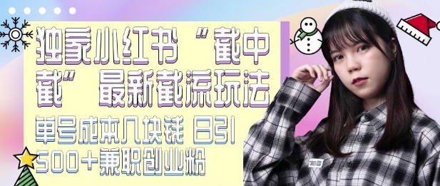 最新小红书截流玩法 独家截中截 单号成本几块钱 日引500+CY粉JZ粉-DE云网创
