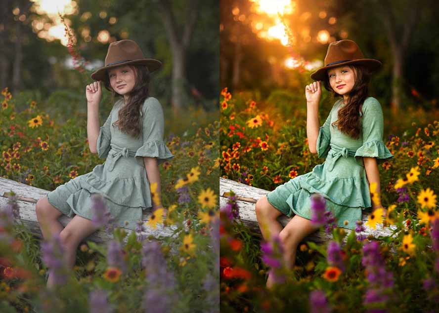 大师级GTG出品-老友记系列AI自适应预设The Friends Preset Collection-DE云网创