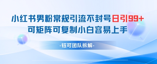 小红书男粉常规引流不封号日引99+变现简单 可矩阵可复制小白容易上手-DE云网创