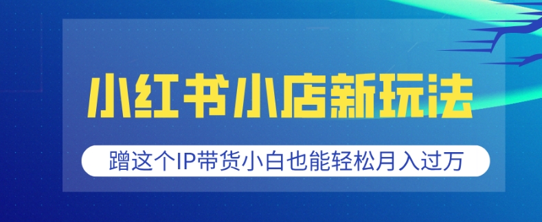 小红书小店新玩法，蹭这个IP带货，小白也能轻松月入过W【揭秘】-DE云网创