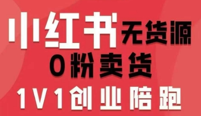 小红书无货源0粉电商课，开店准备、选品策略、笔记撰写、视频剪辑、数据分析、账号打造、资料文档(更新)-DE云网创