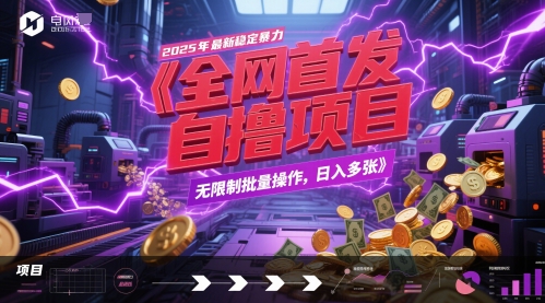 全网首发，2025年最新稳定暴力全自动自撸项目，无限制批量操作，日入多张【揭秘】-DE云网创