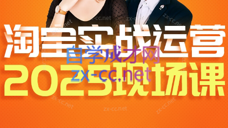 推易·淘宝全套运营现场课程(更新12月)插图