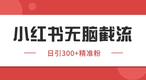 小红书截流同行客源，独家野路子获客玩法 日引200+暴力获客【揭秘】-DE云网创