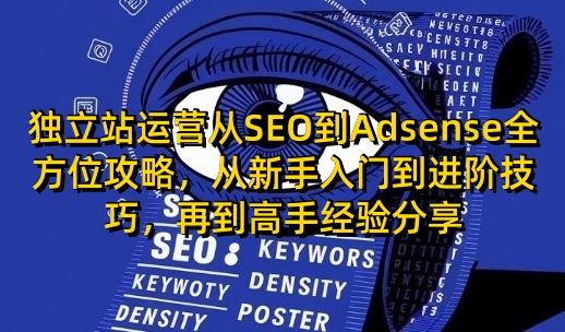独立站运营从SEO到Adsense全方位攻略，从新手入门到进阶技巧，再到高手经验分享-DE云网创