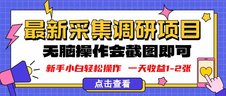 新版采集调研项目，截图上传即可，无脑操作，日收益1-2张-DE云网创