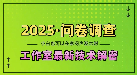 2025问卷调查最新工作室技术解密：一个人在家也可以闷声发大财，小白一天2张，可矩阵放大【揭秘】-DE云网创
