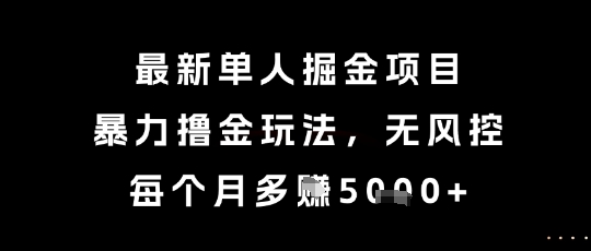 最新单人掘金项目，暴力撸金玩法，无风控，每个月多挣5k+【揭秘】-DE云网创