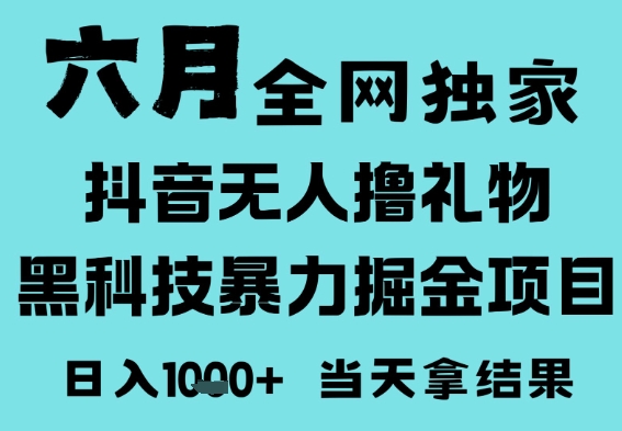 25年6月高爆抖音无人直播最新撸音浪掘金项目，门槛低小白可做，无脑日入1k，可矩阵放大【揭秘】-DE云网创