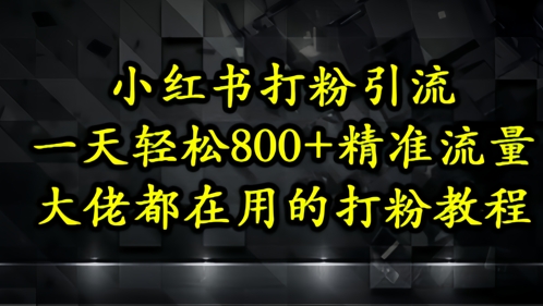 小红书打粉引流，一天轻松500+精准流量，大佬都在用的打粉教程-DE云网创