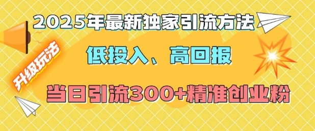 2025年最新独家引流方法，低投入高回报？当日引流300+精准创业粉-DE云网创