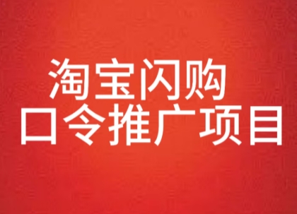 淘宝闪购口令推广项目,收益可观,一部手机,一个抖音号即可操作-DE云网创