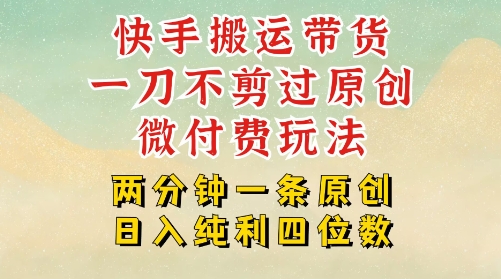 快手黑科技搬运带货，一刀不剪过原创，微付费投流玩法，轻松日入四位数，深层揭秘玩法-DE云网创