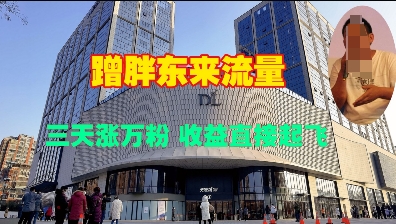 蹭胖东来流量，三天涨万粉，收益直接起飞-DE云网创