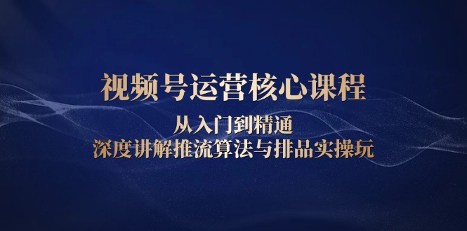 （13863期）视频号运营核心课程，从入门到精通，深度讲解推流算法与排品实操玩-DE云网创