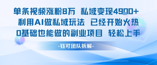 单条视频私域变现4.9k+利用AI做私域玩法 已经开始火热0基础也能做的副业项目轻松上手-DE云网创