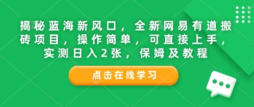 揭秘蓝海新风口，全新网易有道搬砖项目，操作简单，可直接上手，实测日入2张，保姆及教程-DE云网创
