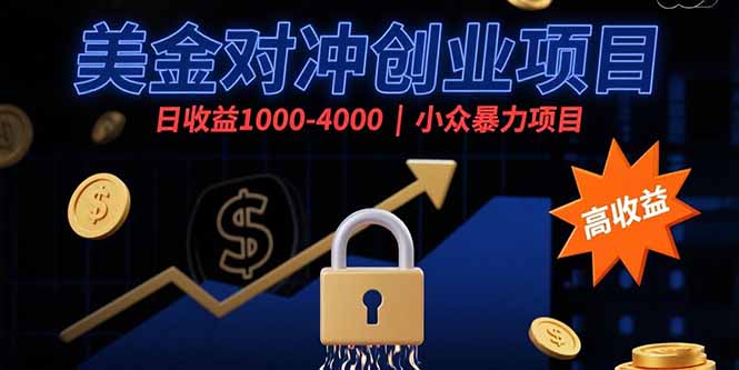 （15642期）美金对冲创业项目，日收益1000-4000，小众暴力项目-DE云网创